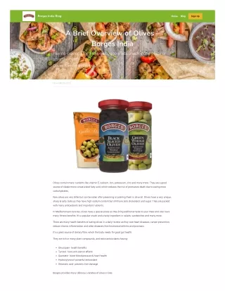 A Brief Overview of Olives – Borges India 