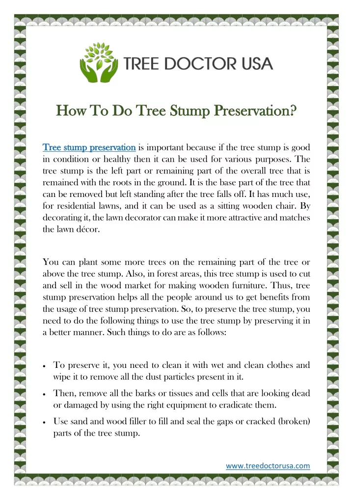 how to do tree stump preservation how to do tree