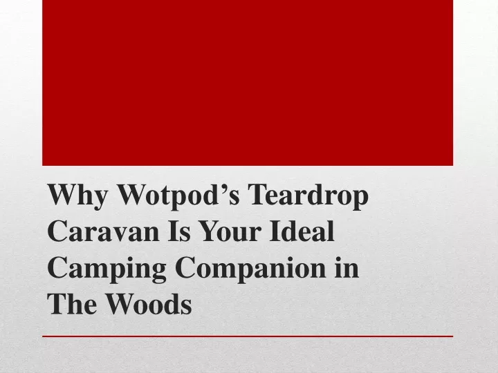 why wotpod s teardrop caravan is your ideal camping companion in the woods