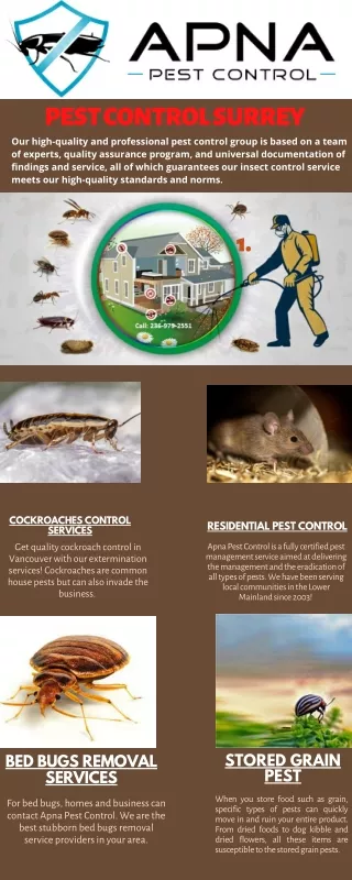 PEST CONTROL SURREY
