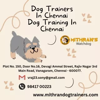 dog trainers in chennai dog training in chennai
