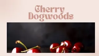 Growing Cornelian Cherry Dogwoods