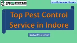 Top Pest Control Service in Indore – Ideal ASR Corporation