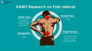 KANO Research on Pain reliever