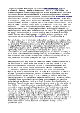 the global program and project organization