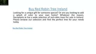 Buy Red Robin Tree Ireland  Decoplants.ie