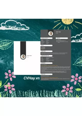CVHay_Designer