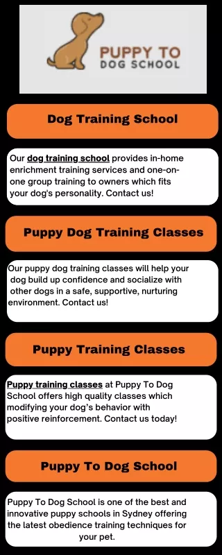 Dog Training School