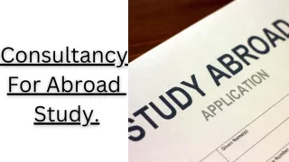 Consultancy Abroad