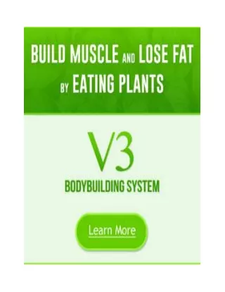 V3 Bodybuilding System™ PDF eBook Download Free