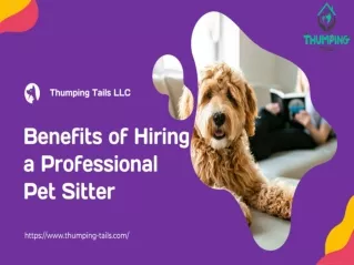 Benefits of Hiring a Professional Pet Sitter