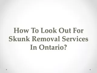 how to look out for skunk removal services in ontario