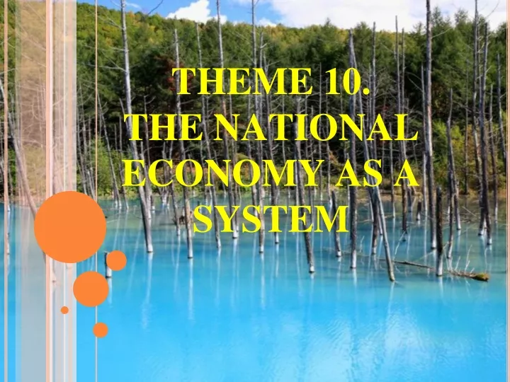 theme 10 the national economy as a system