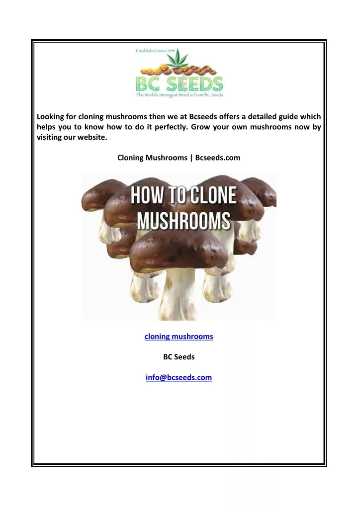 looking for cloning mushrooms then we at bcseeds