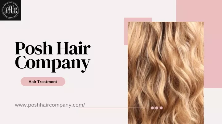 posh hair company