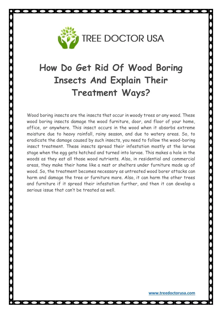 how do get rid of wood boring insects and explain