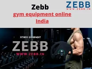 zebb dumbbells india - Zebb