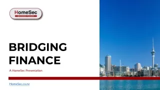 Bridging Finance