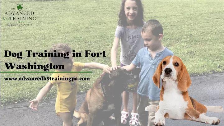 dog training in fort washington