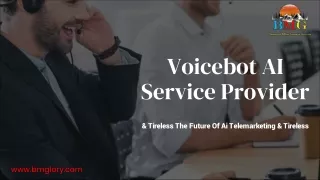 Voicebot AI Service Provider