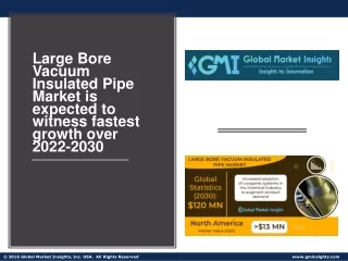 Large Bore Vacuum Insulated Pipe Market PPT