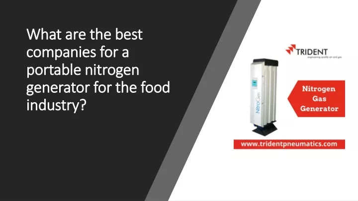 what are the best companies for a portable nitrogen generator for the food industry