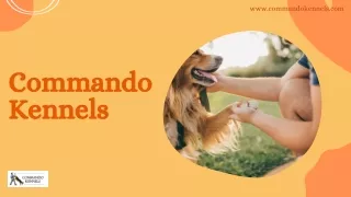 Best Dog Boarding Services in Hyderabad.