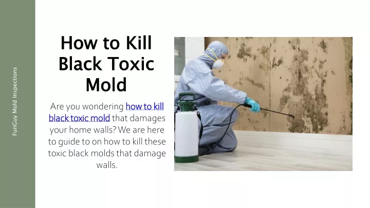 how to kill black toxic mold