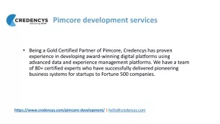 Pimcore development services