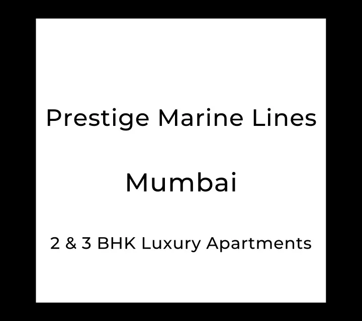 prestige marine lines