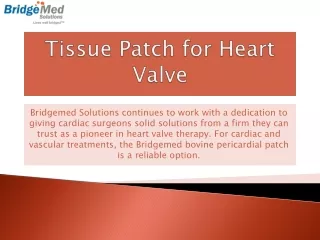 Tissue Patch for Heart Valve