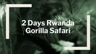 2 Days Rwanda Gorilla Safari (1)