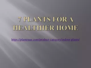 7 Plants For a Healthier Home