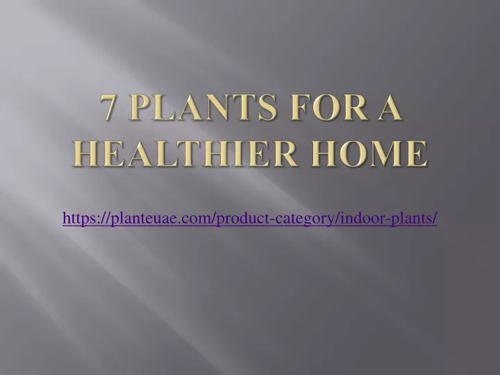 7 plants for a healthier home