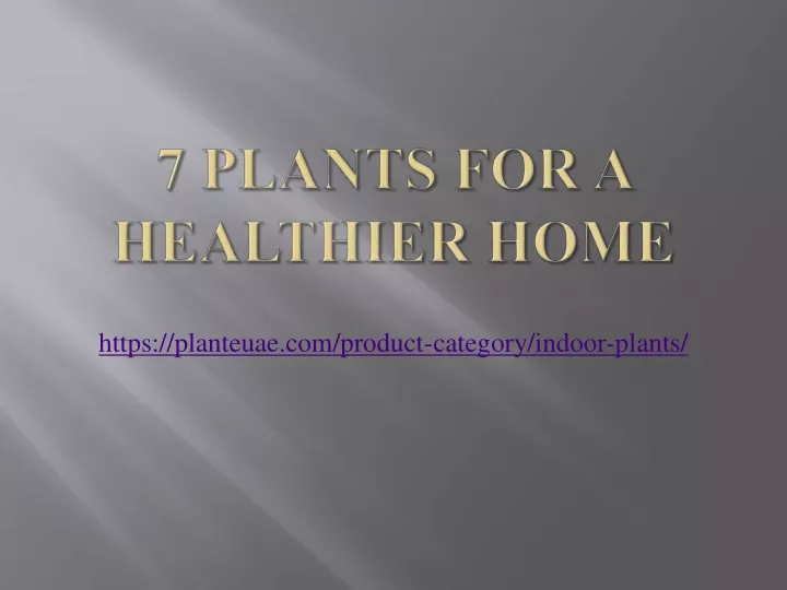 https planteuae com product category indoor plants
