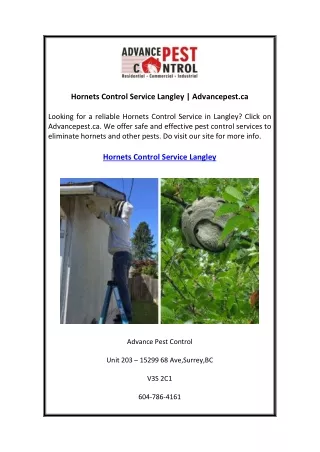 hornets control service langley advancepest ca