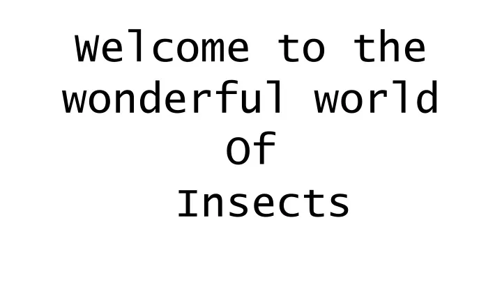 welcome to the wonderful world of insects