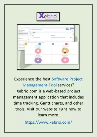 experience the best software project management