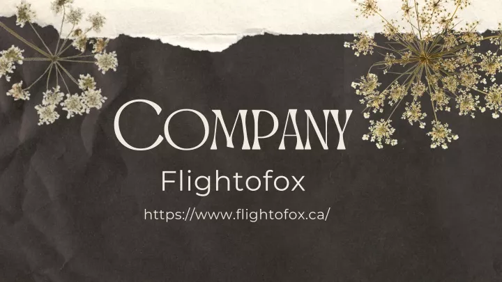 company flightofox