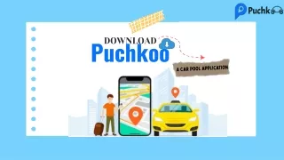 Download Puchkoo A Car Pool Application | Rideshare App