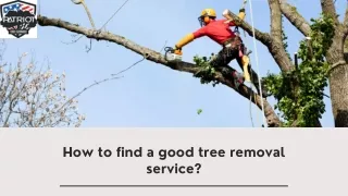 How to find a good tree removal service?