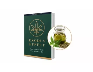 https://www.tribuneindia.com/news/brand-connect/exodus-effect-reviews-fact-check-risky-negative-side-effects-exposed-449