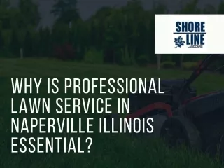 Why Is Professional Lawn Service in Naperville Illinois Essential