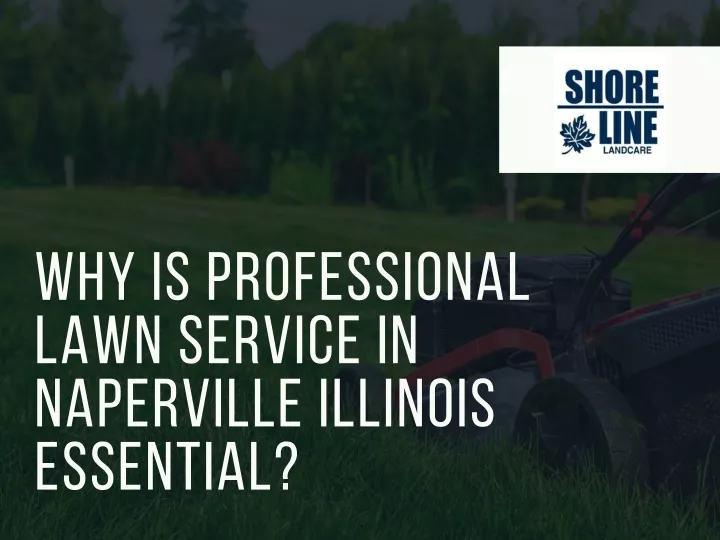 why is professional lawn service in naperville