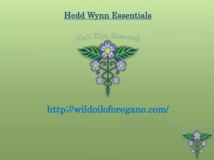 hedd wynn essentials