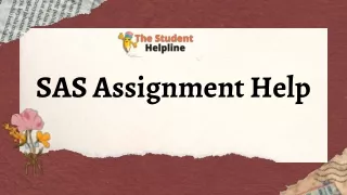 Buy SAS Assignmnt Help With Top Experts