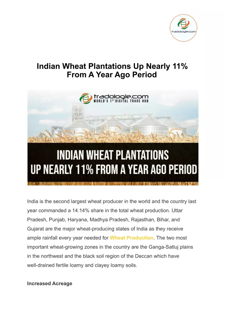indian wheat plantations up nearly 11 from a year