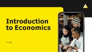 Introduction to Economics and Types of Economic Systems