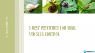 5 best pesticides for snail and slug control