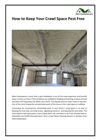 how to keep your crawl space pest free